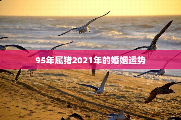 95年属猪2021年的婚姻运势