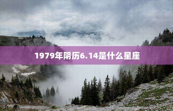 1979年阴历6.14是什么星座