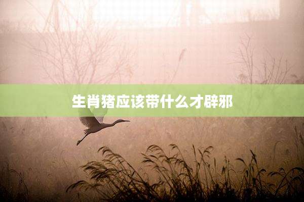 生肖猪应该带什么才辟邪