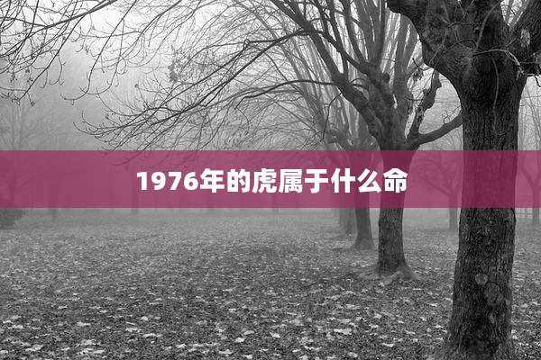 1976年的虎属于什么命