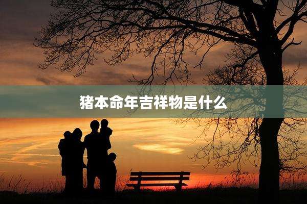 猪本命年吉祥物是什么