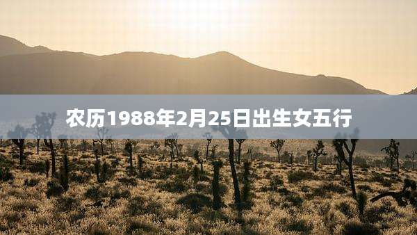 农历1988年2月25日出生女五行