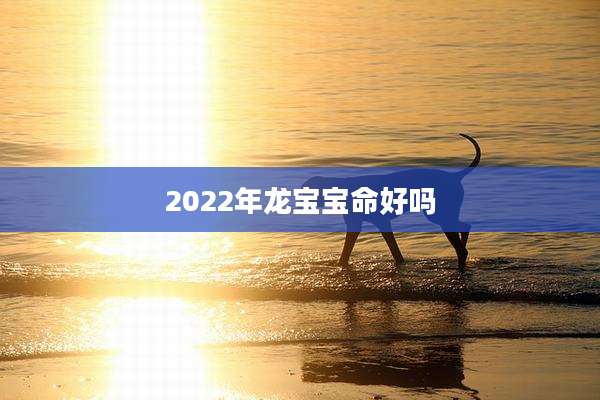 2022年龙宝宝命好吗