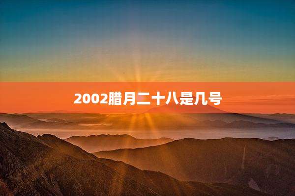 2002腊月二十八是几号