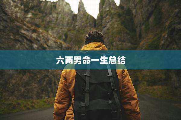 六两男命一生总结