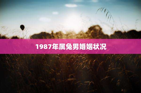 1987年属兔男婚姻状况