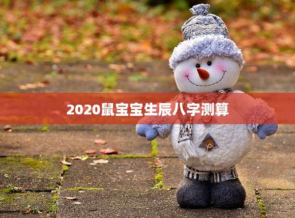 2020鼠宝宝生辰八字测算
