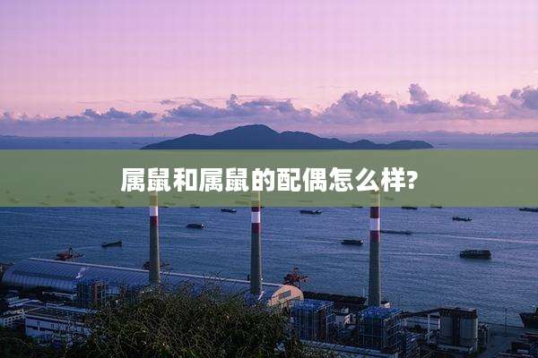 属鼠和属鼠的配偶怎么样?