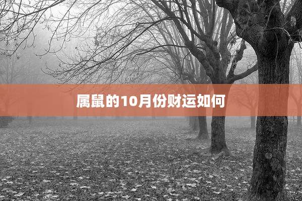 属鼠的10月份财运如何