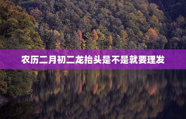 农历二月初二龙抬头是不是就要理发