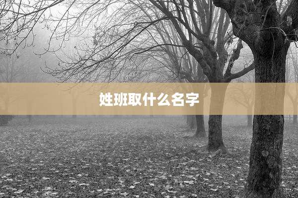 姓班取什么名字