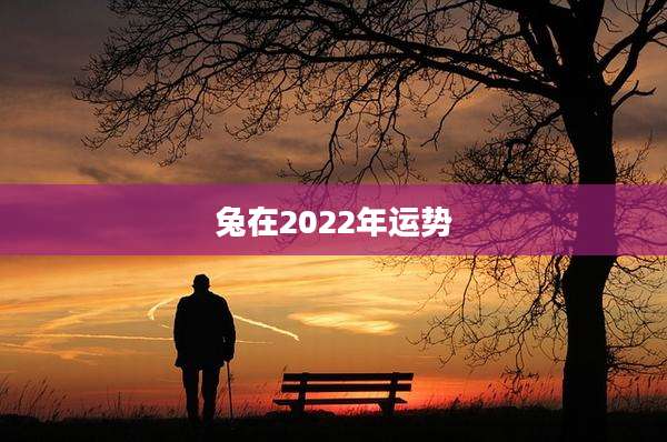 兔在2022年运势