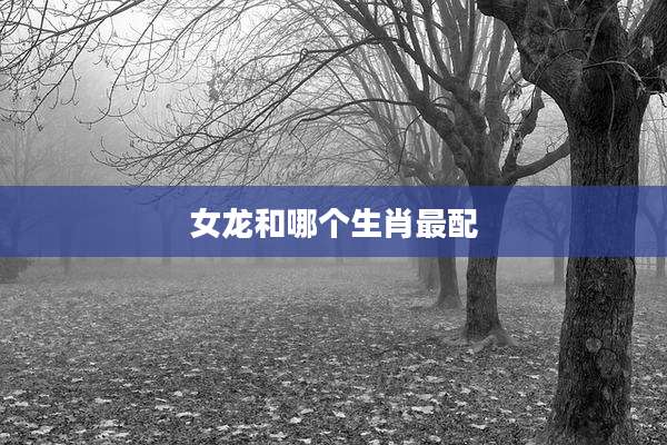 女龙和哪个生肖最配
