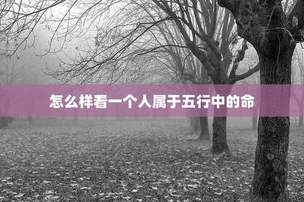 怎么样看一个人属于五行中的命
