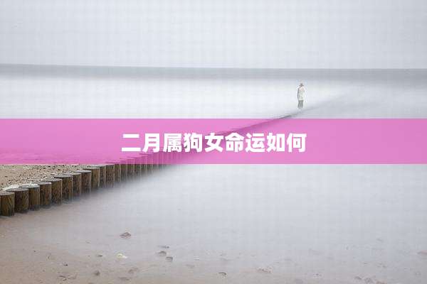 二月属狗女命运如何