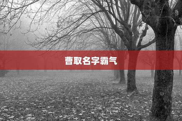 曹取名字霸气