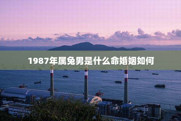 1987年属兔男是什么命婚姻如何