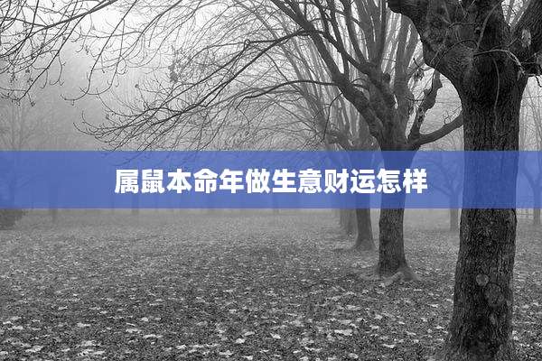 属鼠本命年做生意财运怎样