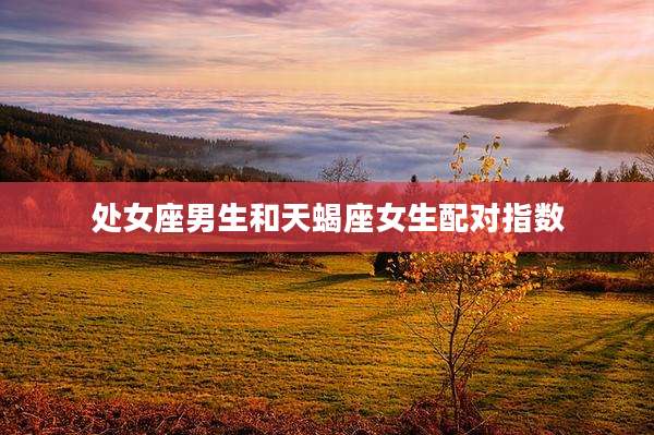 处女座男生和天蝎座女生配对指数