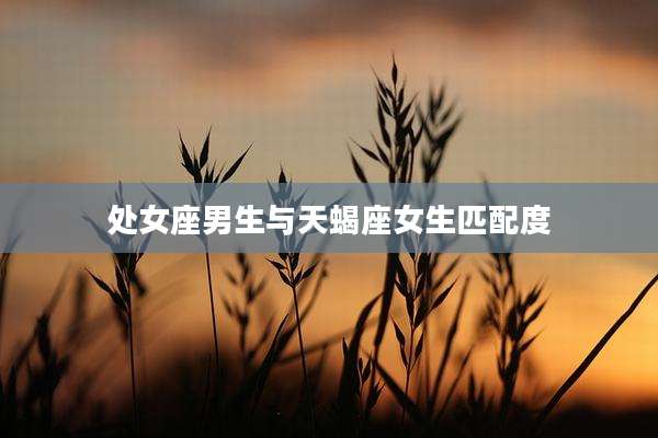 处女座男生与天蝎座女生匹配度