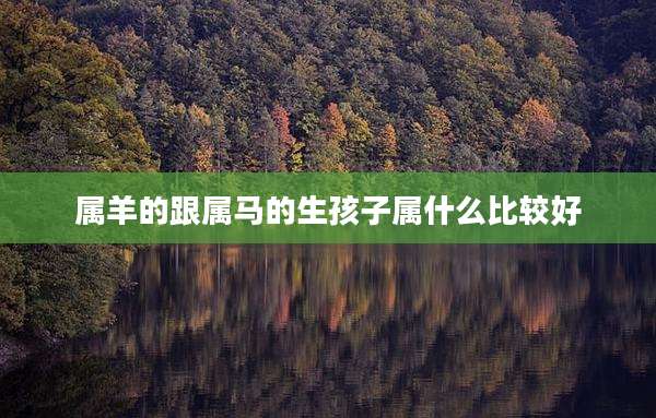 属羊的跟属马的生孩子属什么比较好