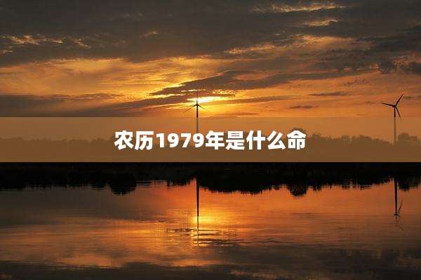 农历1979年是什么命
