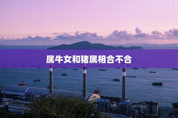 属牛女和猪属相合不合