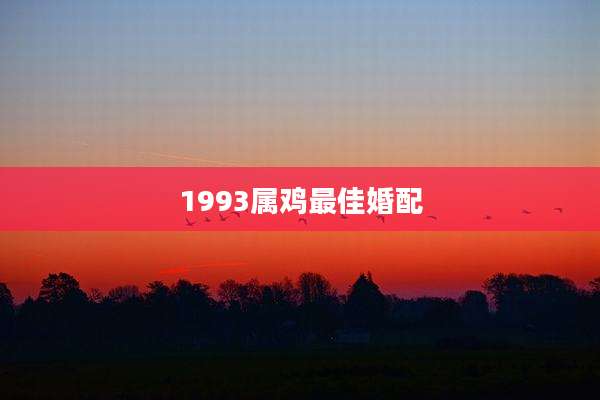 1993属鸡最佳婚配