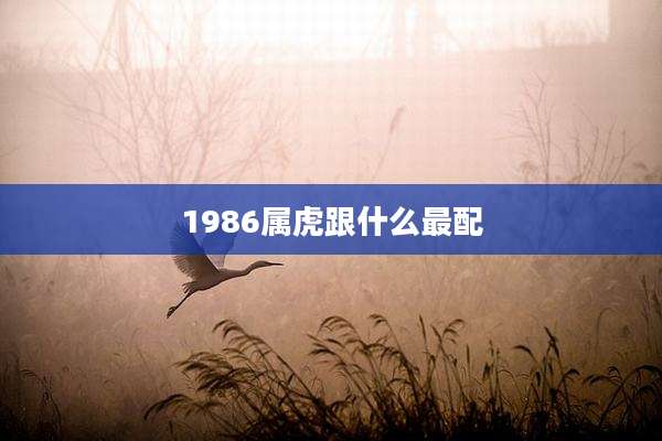 1986属虎跟什么最配