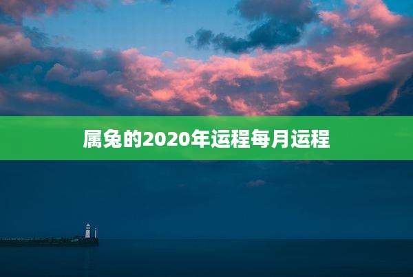 属兔的2020年运程每月运程