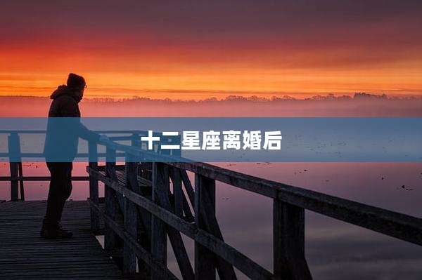 十二星座离婚后