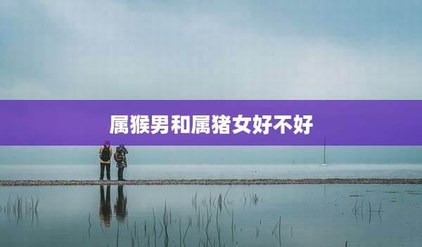 属猴男和属猪女好不好
