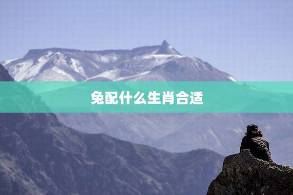 兔配什么生肖合适