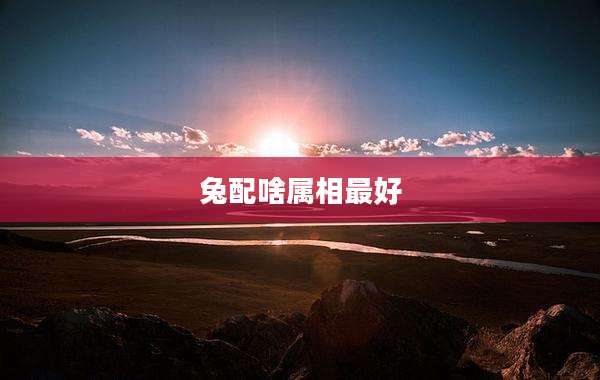 兔配啥属相最好