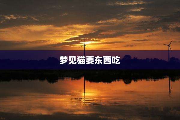梦见猫要东西吃