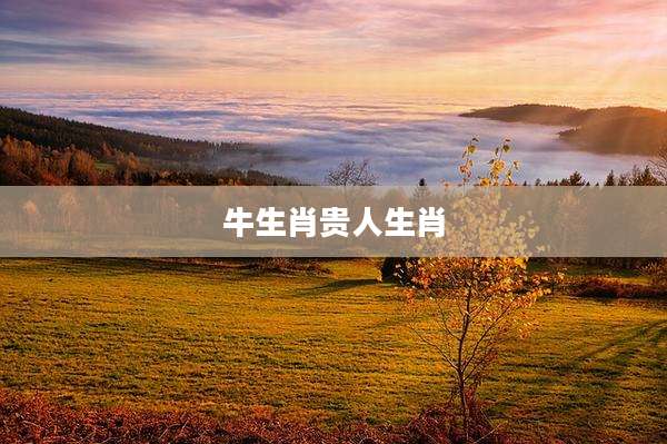 牛生肖贵人生肖