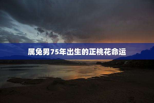 属兔男75年出生的正桃花命运