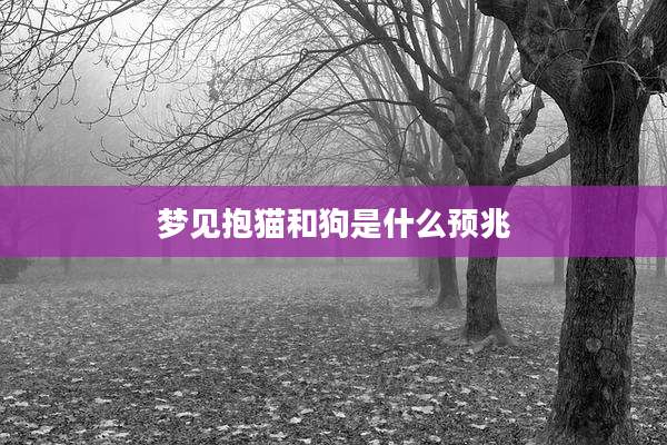 梦见抱猫和狗是什么预兆