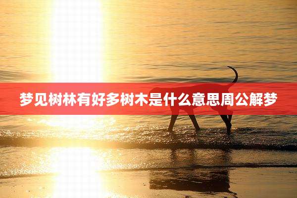 梦见树林有好多树木是什么意思周公解梦