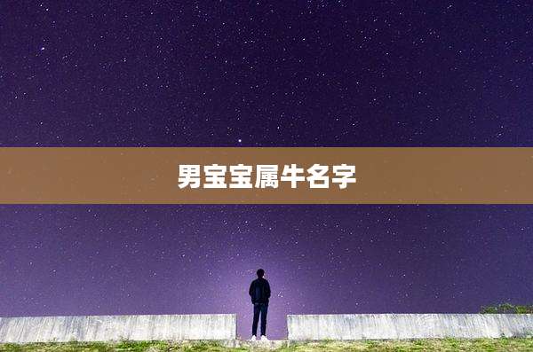 男宝宝属牛名字