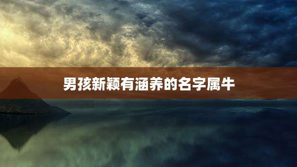 男孩新颖有涵养的名字属牛