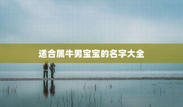 适合属牛男宝宝的名字大全