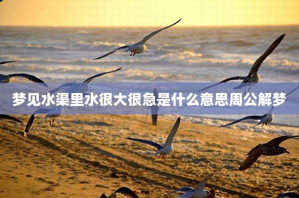 梦见水渠里水很大很急是什么意思周公解梦