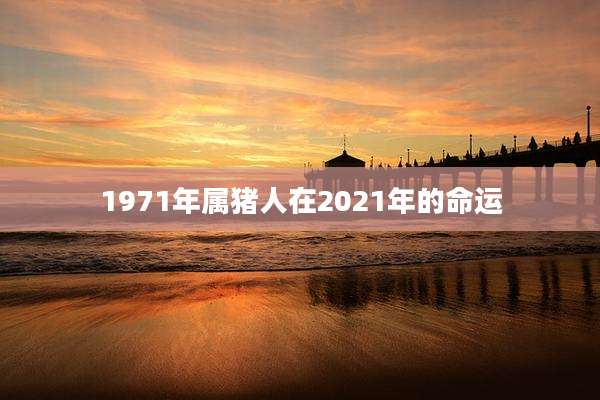 1971年属猪人在2021年的命运