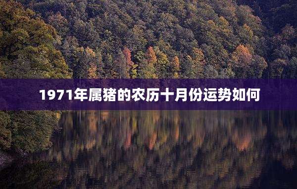 1971年属猪的农历十月份运势如何