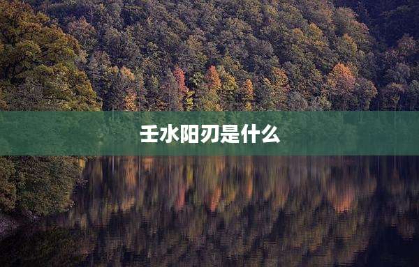 壬水阳刃是什么