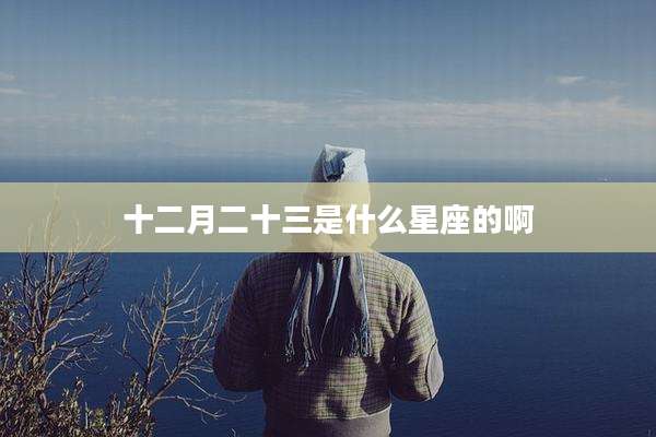 十二月二十三是什么星座的啊