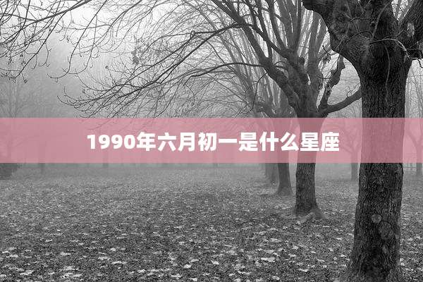 1990年六月初一是什么星座