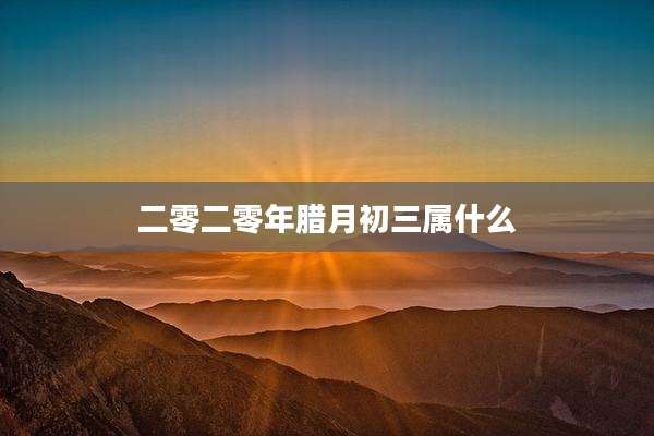 二零二零年腊月初三属什么