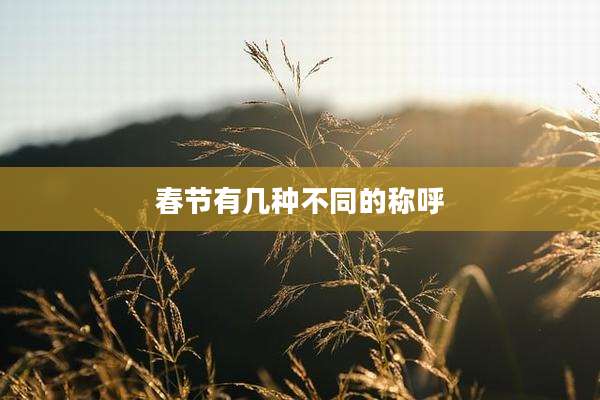 春节有几种不同的称呼